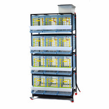 Hühner-Zuchtbox - 4 Etagen - TYK40-03-4K