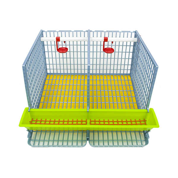 TYK40-02-1K MIDI – Mittelgroße Box für Legehennen