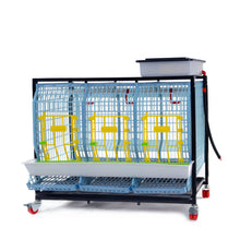 Hühner-Zuchtbox – 1 Etage - TYK60-03-1K