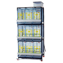 Hühner-Zuchtbox – 3 Etagen - TYK60-03-3K
