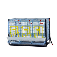 Hühner-Zuchttbox Etagen - Erweiterungsmodul - TYK60-03-TA