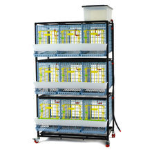 Hühner-Zuchtbox - 3 Etagen - TYK40-03-3K