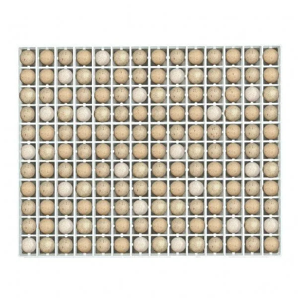 Rebhuhn-Bruthorden TR154