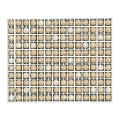 Rebhuhn-Bruthorden TR154