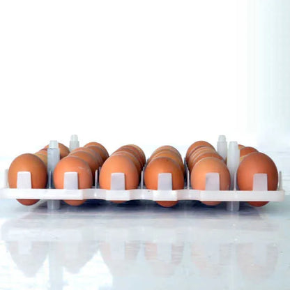 TR36 Chicken Brooding Cage