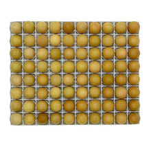 TR80 Incubatrice per polli