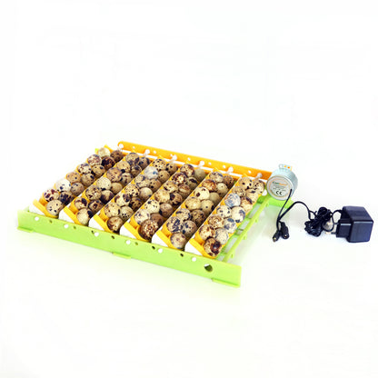 QT13 Wachteleieraufsatz