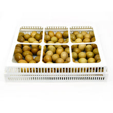 FLX80-K Schlupfkorbdeckel