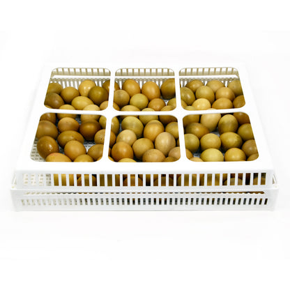 FLX80-CS Schlupfkörbe