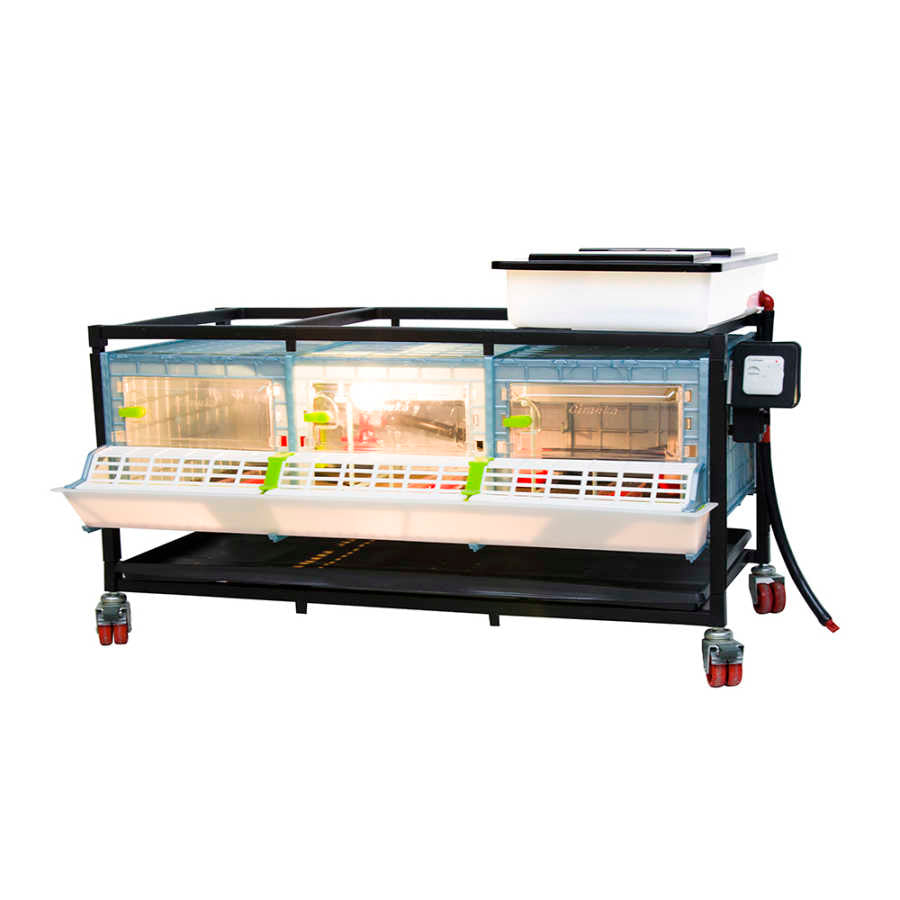 CB25-03-1K – Kükenaufzuchtbox mit 1 Etage