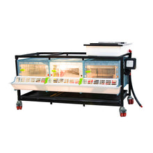 CB25-03-1K – Kükenaufzuchtbox mit 1 Etage