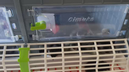 Kükenaufzuchtbox mit 1 Etage - CB25-03-1K